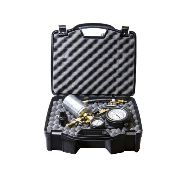 FUEL INJECTOR CLEANING ASSY