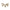 Boat Steering Hardwares - DK3015 Jack Plate Screw