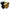Impellers - Impeller Ballast King 15 GPM with switch