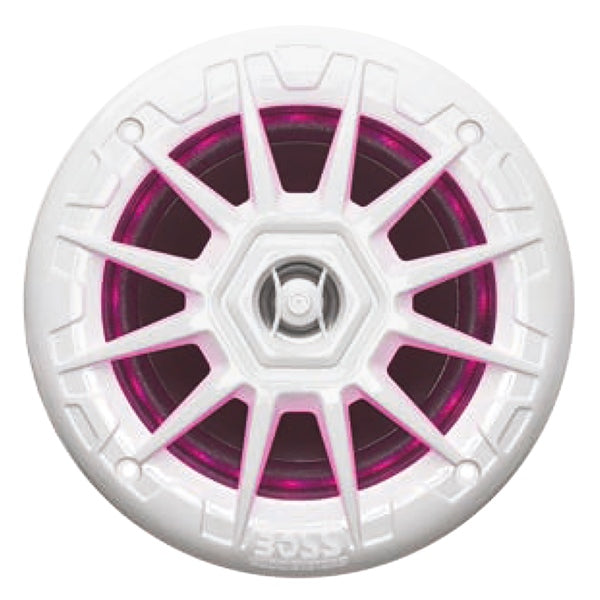 Audio Speakers - 2-Way Marine Loudspeaker