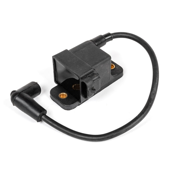 Ignition Modules - Module CDM