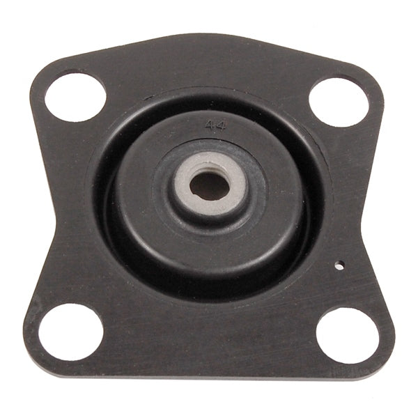 DIAPHRAGM