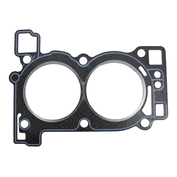 HD GASKET 9.9&15