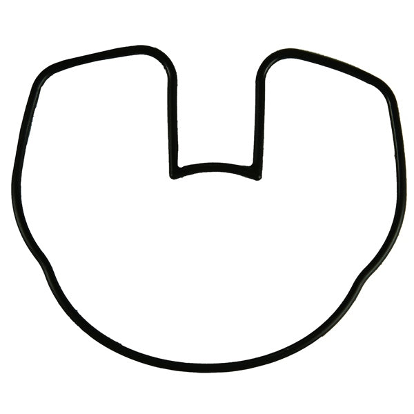 Water System Gaskets - Water Pump Seal