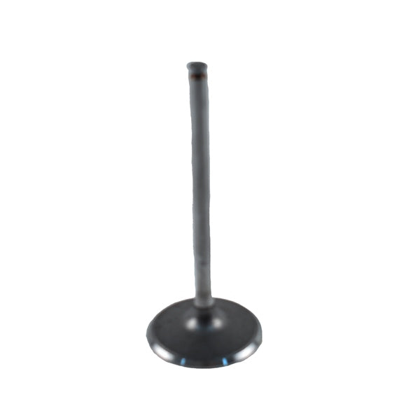 Intake Valves - Intake Valve